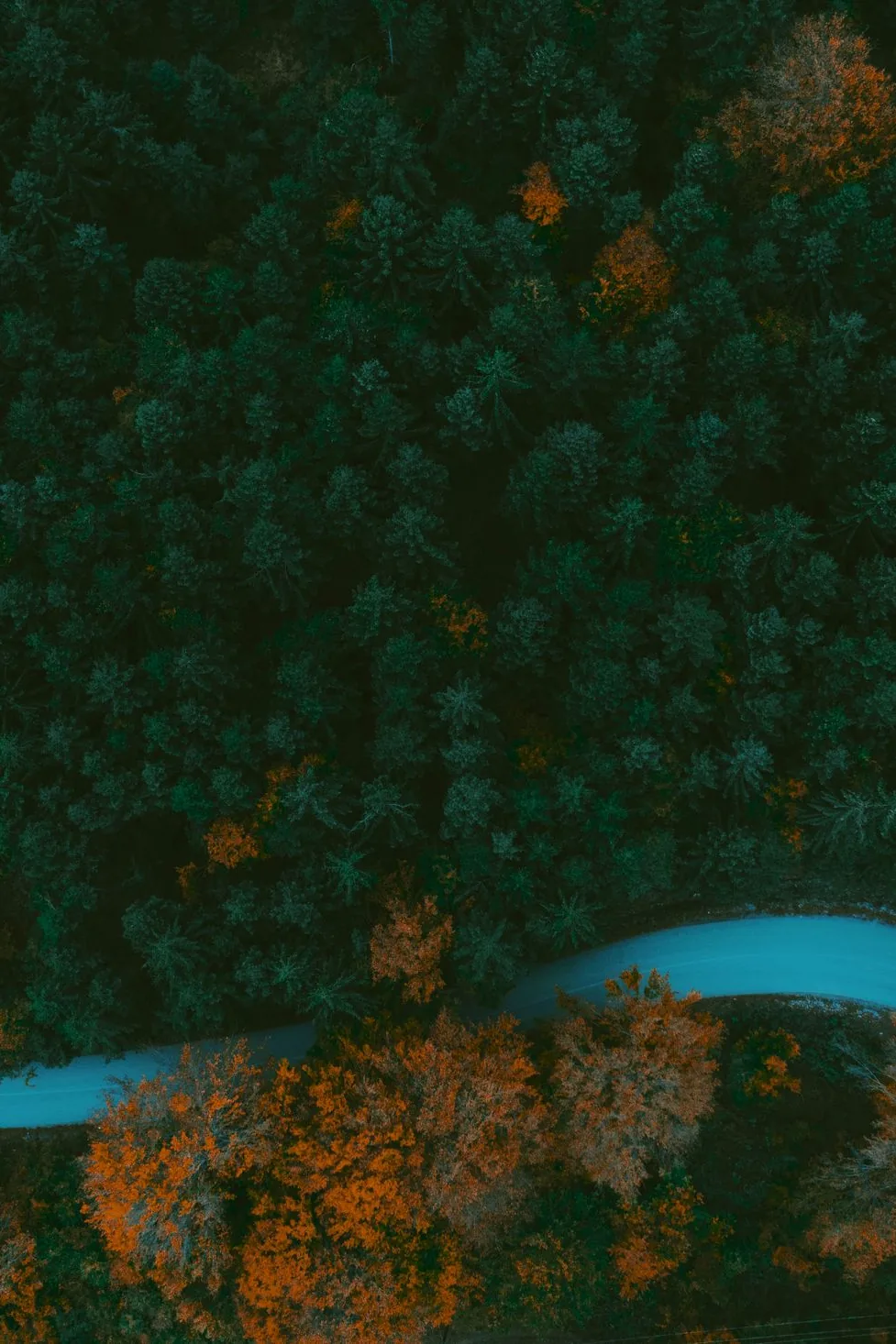 Tree-lined private drive to estate, top-down
