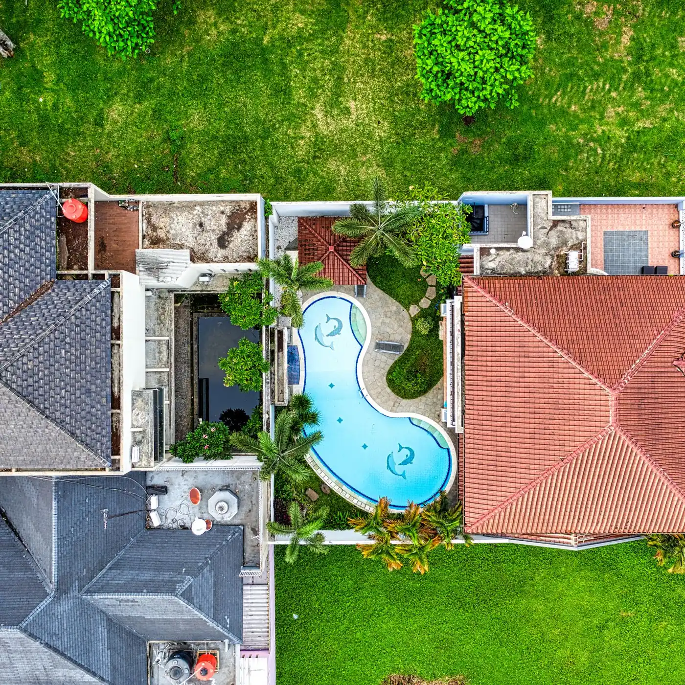 Backyard, pool and landscaping composition