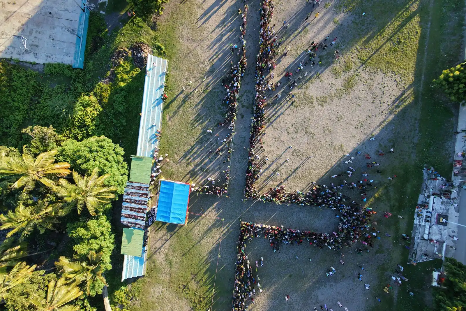 All wedding guests in one frame, lawn formation